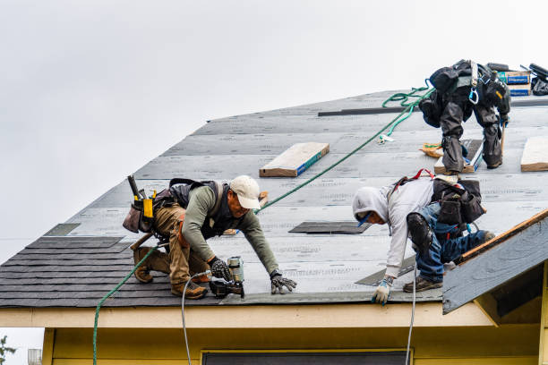 Professional Gutter Installation technician working in Plainview, MN